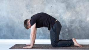 cat-cow stretch for lower back pain relief