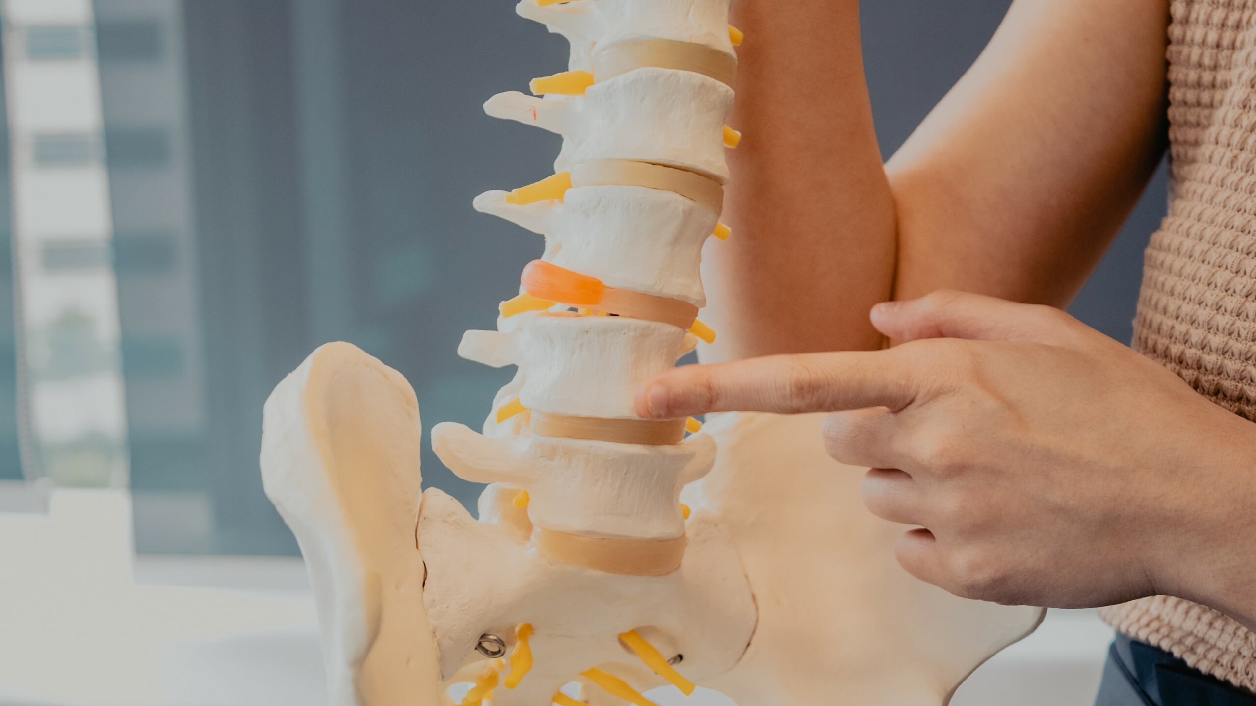 chiropractic for spine correction