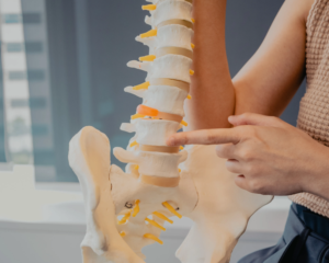 chiropractic adjustment