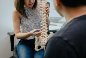 orthopaedic care skeletal spinal model