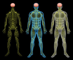 What Is Nerve Pain Medication—and What Is It Used For?
