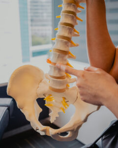 Chiropractor with Spine model