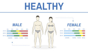 BMI Ranges Chart for Women and Men