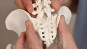 Tailbone Pain When Sitting: Support and Relief with Chiropractic Care