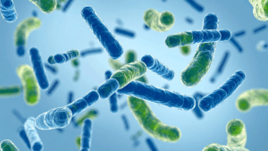 Probiotics for gut health and total wellbeing