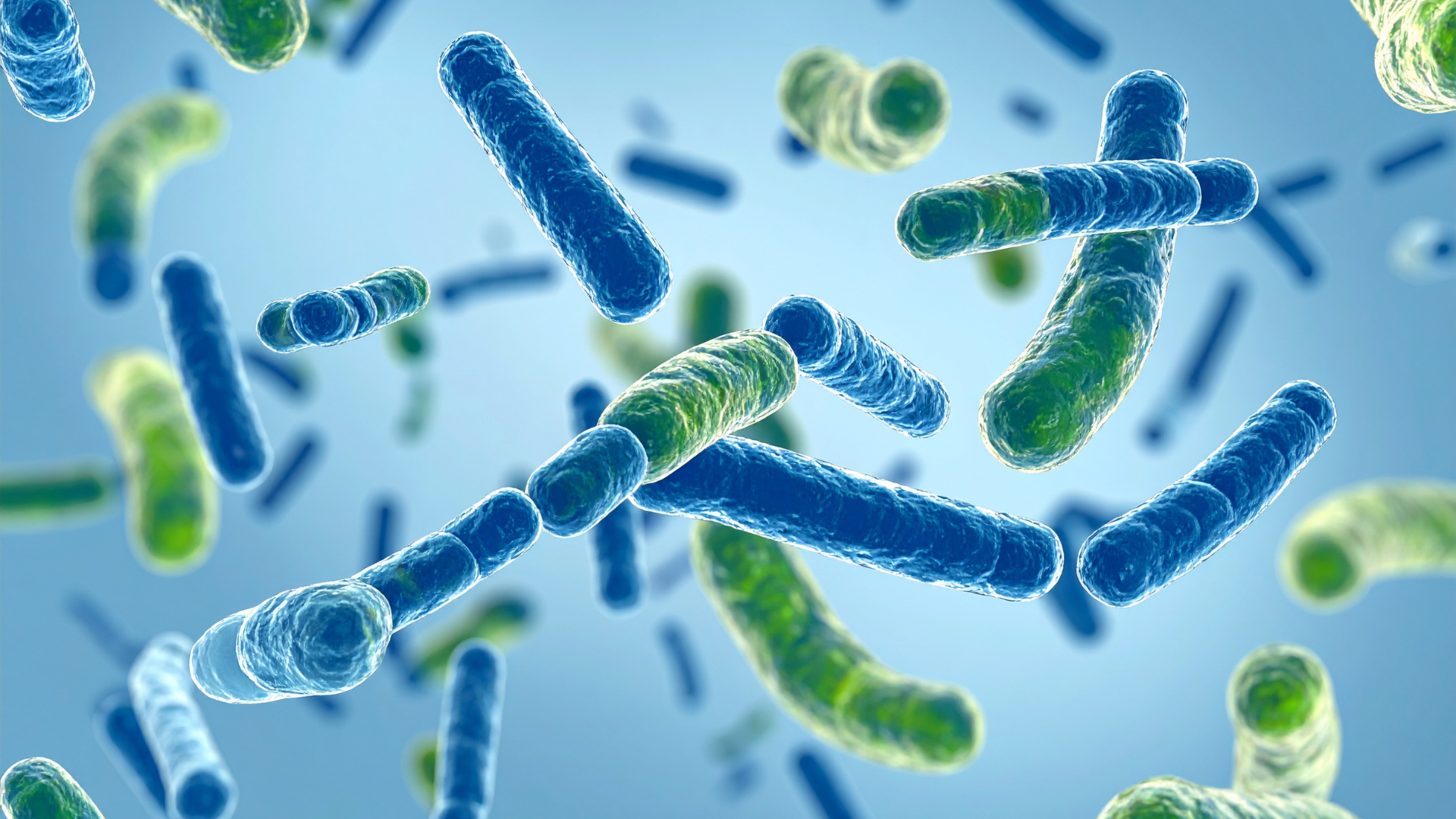 Probiotics for gut health and total wellbeing