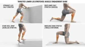 Illustrated guide demonstrating specific calf and shin Shin Splint Stretches